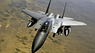 gray fighter plane, Aviator, jet fighter, McDonnell Douglas F-15 Eagle