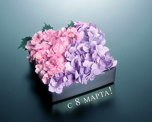 pink and purple flower bouquet decor