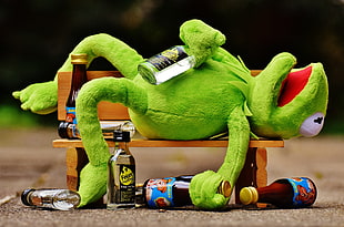 hangover frog lying on brown wooden bench at daytime