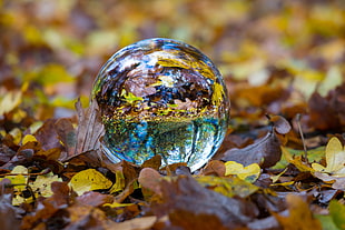round crystal ball on top brown dried leaves
