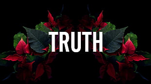 red flowers with Truth text overlay, leaves, typography, artwork