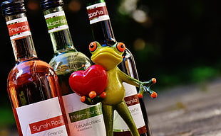 green frog in front of three glass bottles photo during daytime
