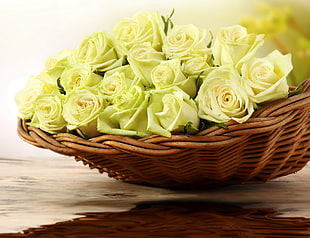 yellow roses on basket