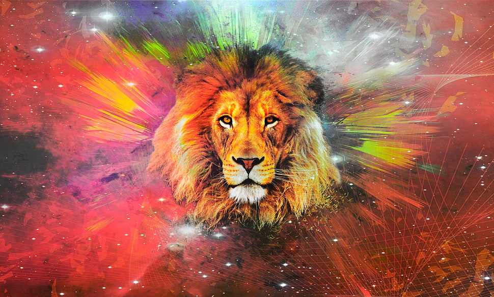 lion illustration, lion, galaxy HD wallpaper