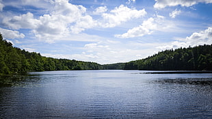 river between of forest, landscape, lake, water, forest