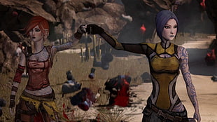 purple haired female animated character digital wallpaper, Borderlands, Borderlands 2, vault hunters, Lilith HD wallpaper
