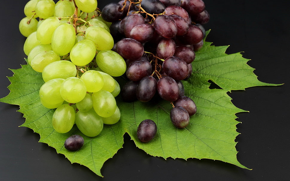 grapes fruit HD wallpaper