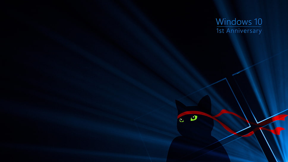 Windows 10 1st Anniversary illustration, cat, Windows 10, green, red HD wallpaper
