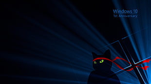 Windows 10 1st Anniversary illustration, cat, Windows 10, green, red