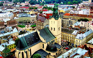 aerial view photo of cathedral, city