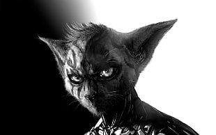 cat character grayscale photo, artwork, fantasy art, cyborg, cat