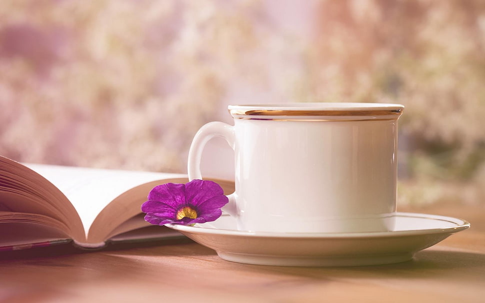 white ceramic coffee cup with saucer plate HD wallpaper