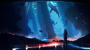child watching underwater creatures HD wallpaper