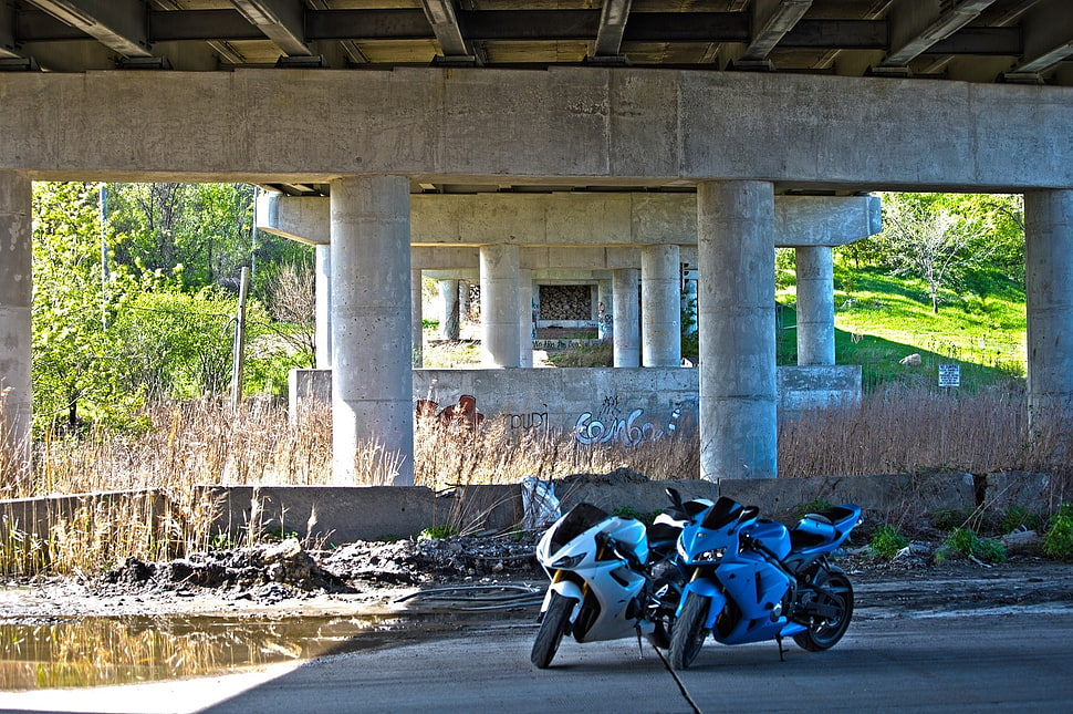 blue and white sports bike, cbr , Triumph Daytona, Triumph, motorcycle HD wallpaper