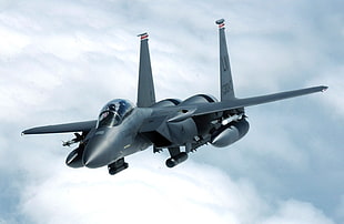 black fighter jet, aircraft, jets, F-15 Eagle, military aircraft