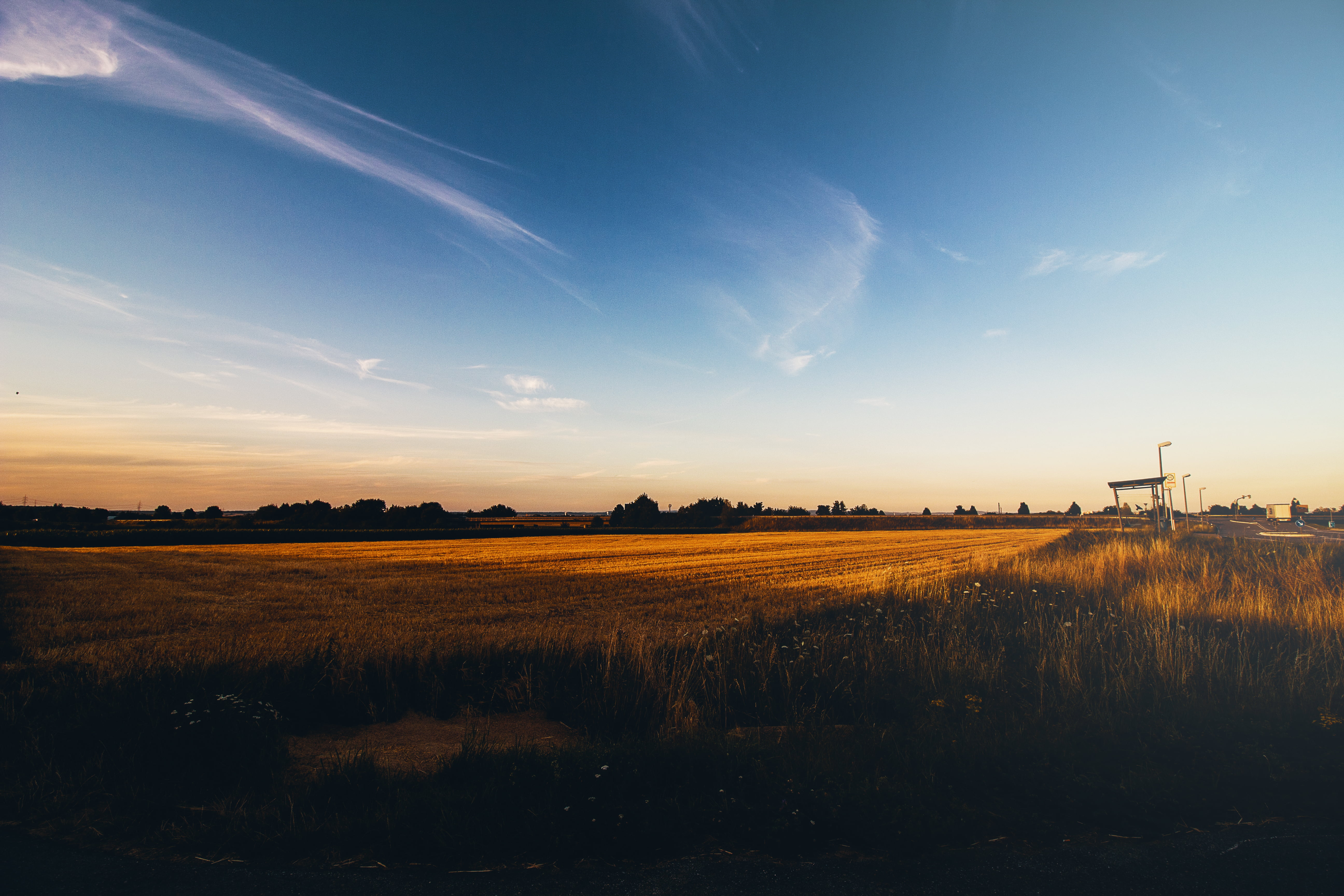 Brown grassland, Sun, sunset, nature, field HD wallpaper | Wallpaper Flare