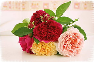 red, pink, yellow petaled flower bouquet