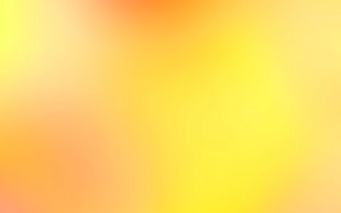  HD wallpaper
