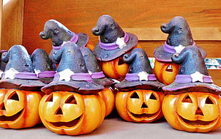 pumpkin witches Halloween decors HD wallpaper