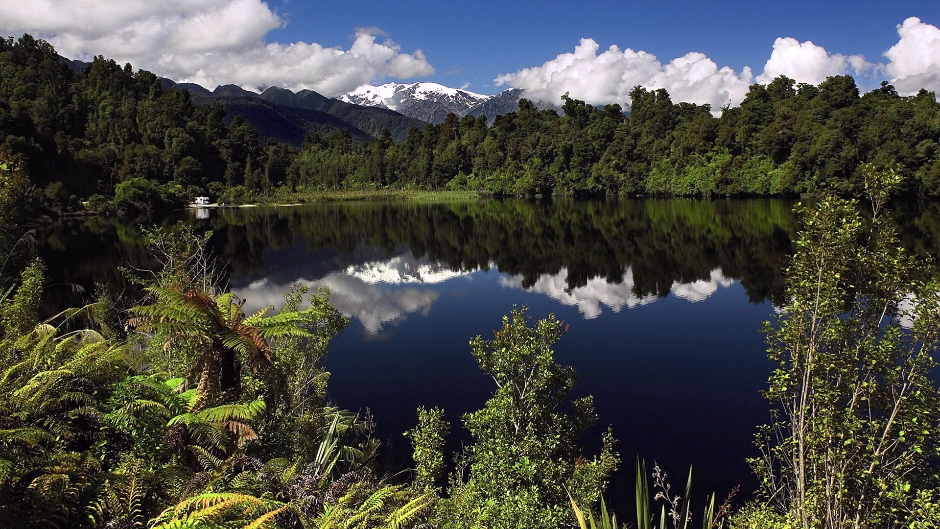 forest digital wallpaper, nature, landscape, lake