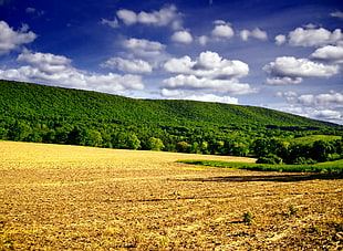 brown field under blue cloudy sky during daytime HD wallpaper