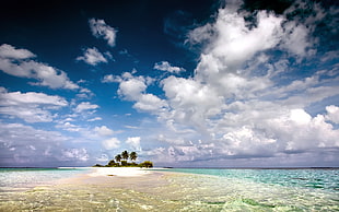 black and green island, landscape, water, beach, island HD wallpaper