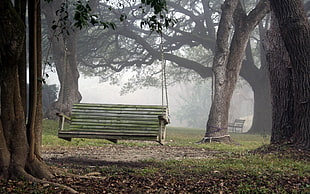green wooden swing bench hanging on brown tree