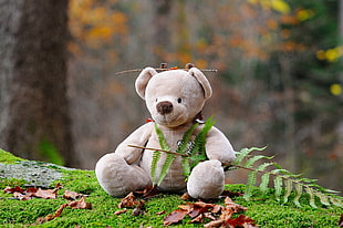 brown bear plush toy seating on log