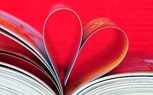 red and white heart shape on book