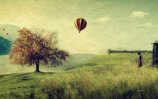 multicolored hot air balloon, landscape, hot air balloons