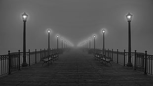 pier with lampposts, pier, monochrome, night, bench