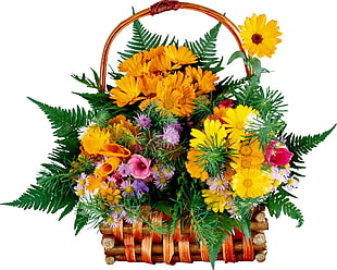 basket of assorted petaled flowers