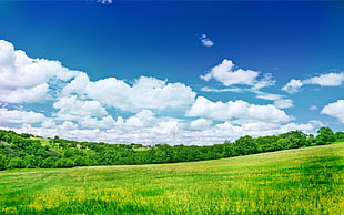 green field under white clouds and blue sky at daytime