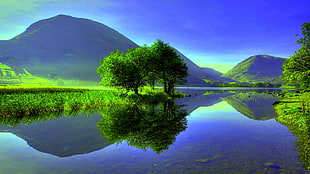 green tree, landscape, mountains, lake, clear sky