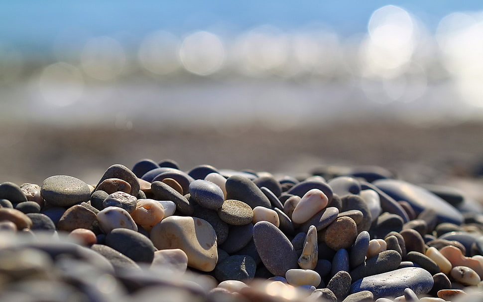 assorted-color pebble lot, nature HD wallpaper