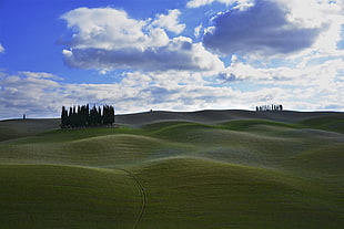 photo of grassy hills, val d'orcia, san quirico d'orcia HD wallpaper