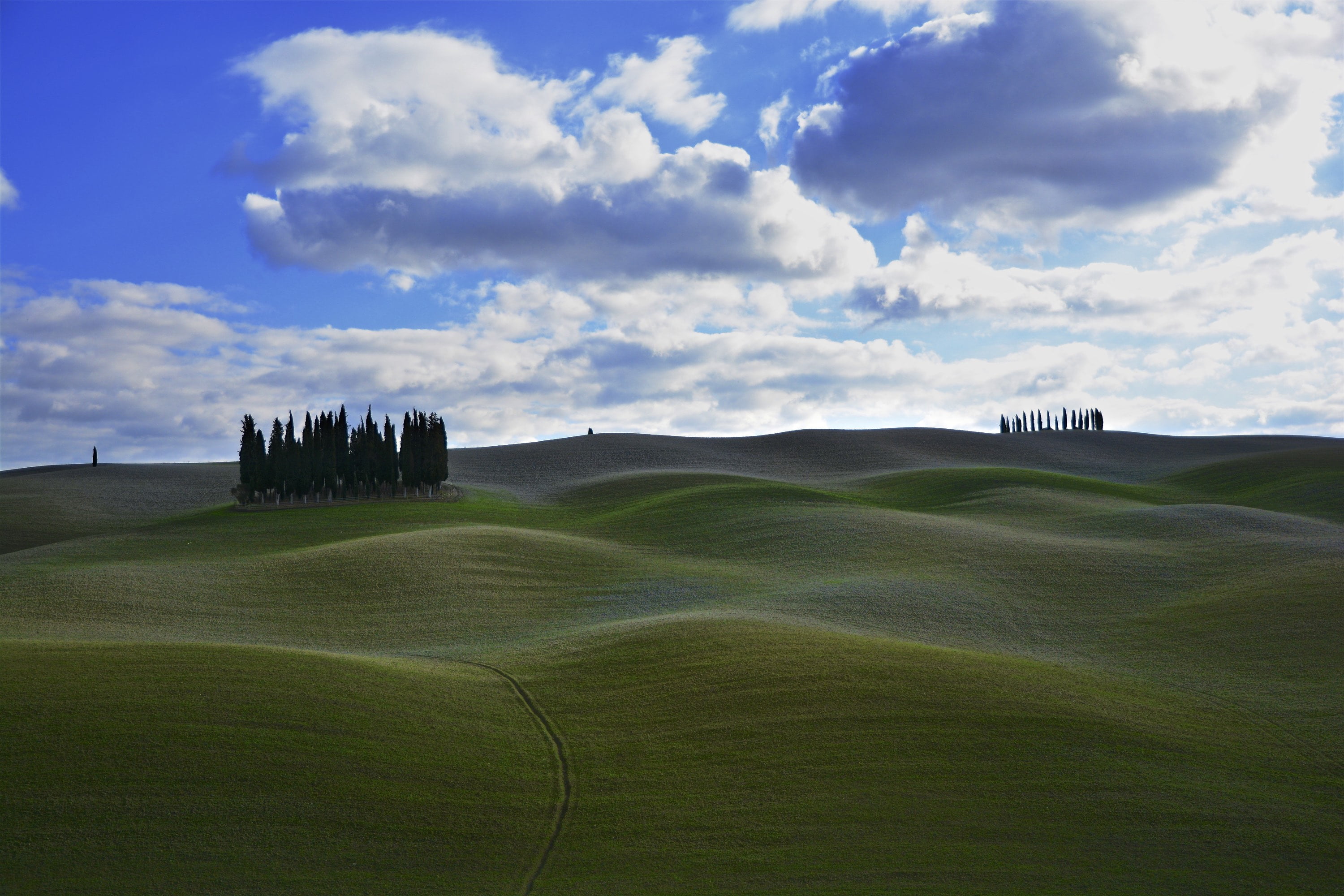 Photo of grassy hills, val d'orcia, san quirico d'orcia HD wallpaper