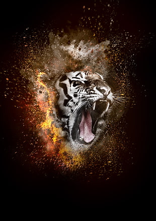 white tiger illustration, Tiger, Grin, Photoshop