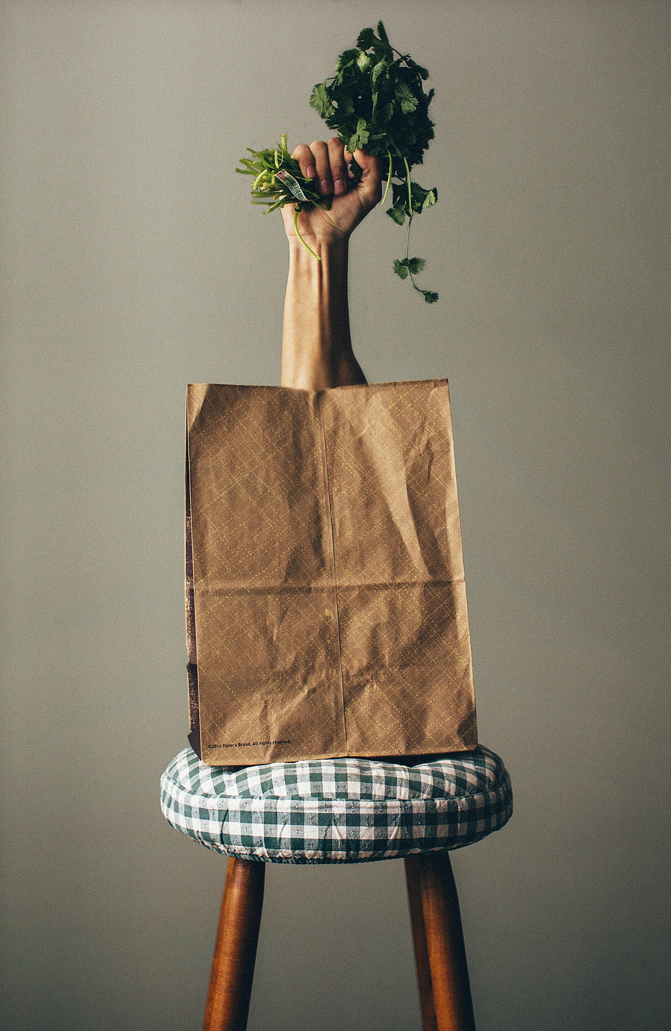 hand holding coriander in brown paper bag HD wallpaper