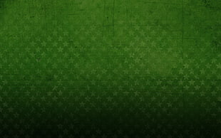 green and white area rug, pattern