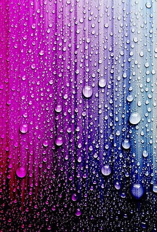 closed up water droplets HD wallpaper