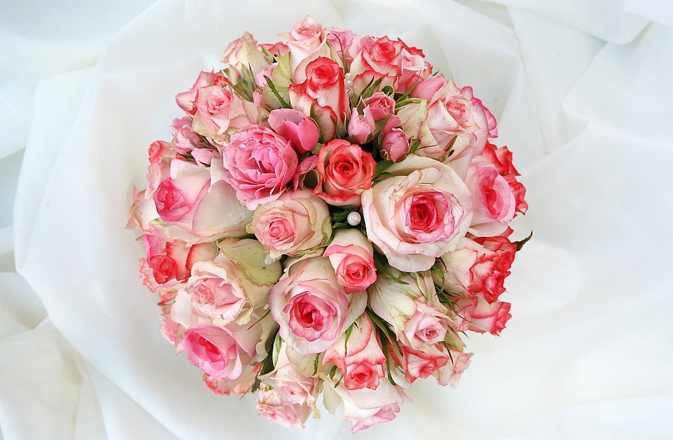 pink and white flower bouquet HD wallpaper