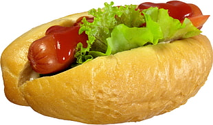 hotdog on brown bread with lettuce