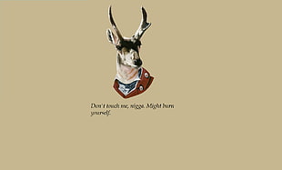 brown Deer taxidermy, quote
