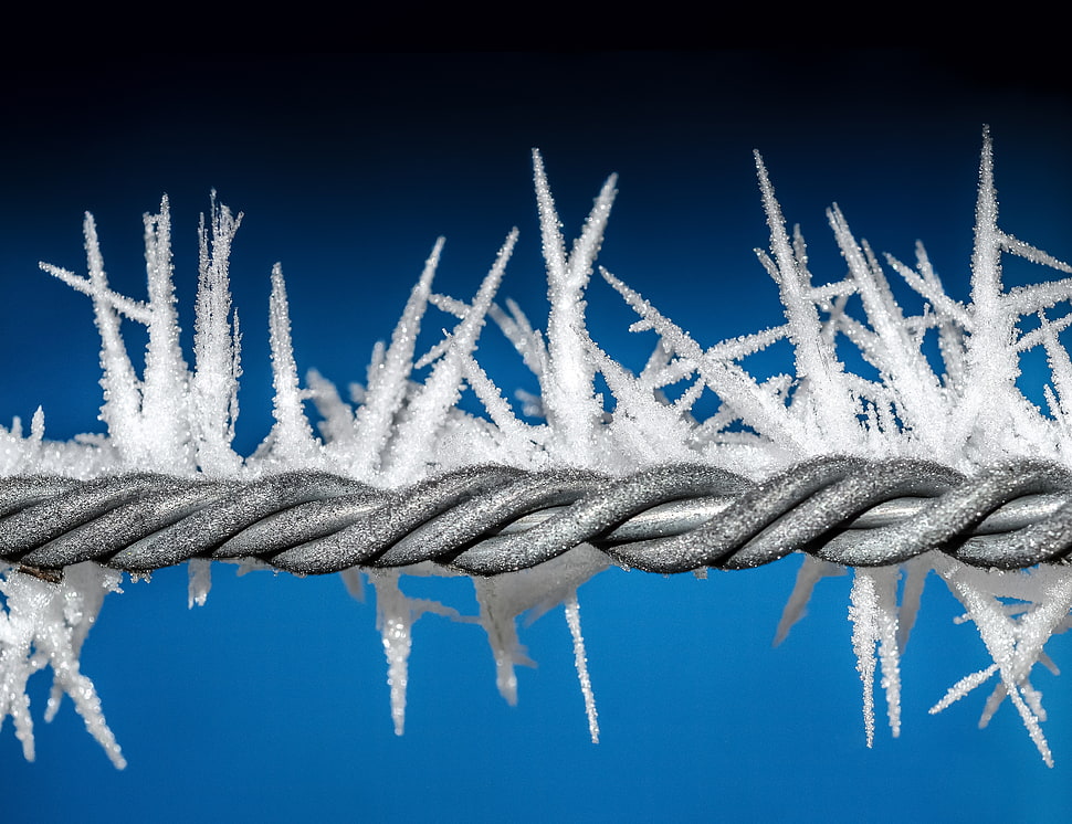 frosted barb wire closeup HD wallpaper