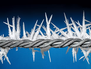 frosted barb wire closeup