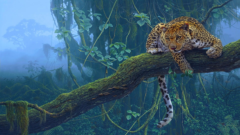 leopard lying on green tree branch on forest HD wallpaper