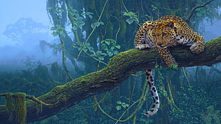 leopard lying on green tree branch on forest