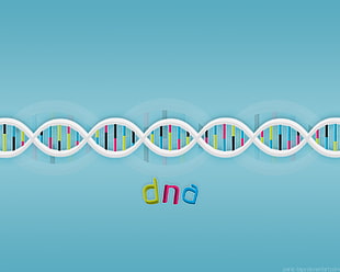 teal background with dna text overlay, DNA, simple, simple background, minimalism