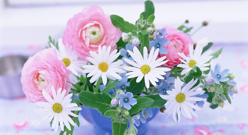 bouquet of white Daisy flowers HD wallpaper